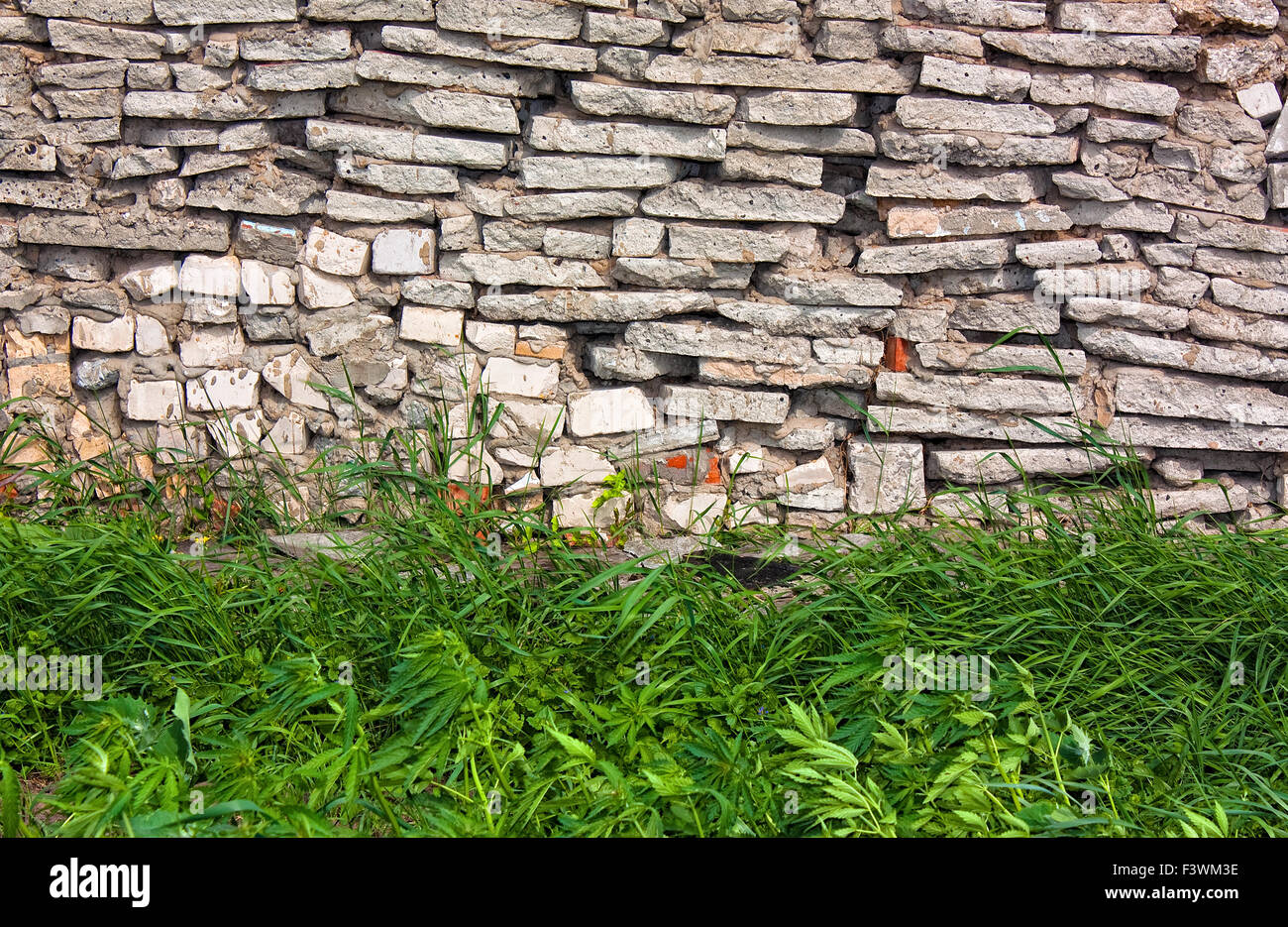 Grass on stone wall hi-res stock photography and images - Alamy