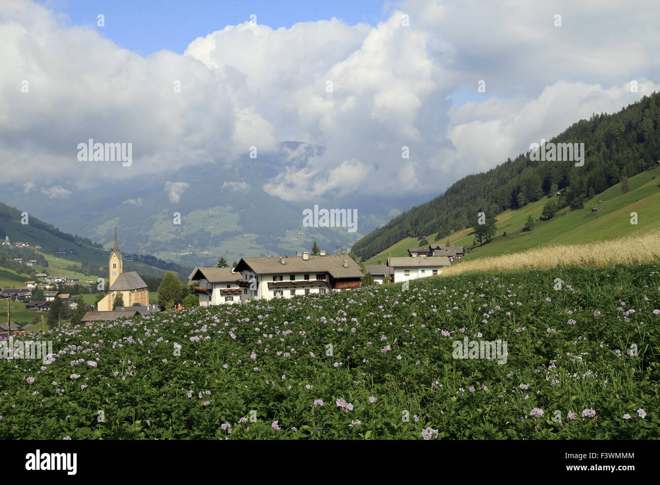 Kartitsch, East Tyrol, Austria, Europe Stock Photo