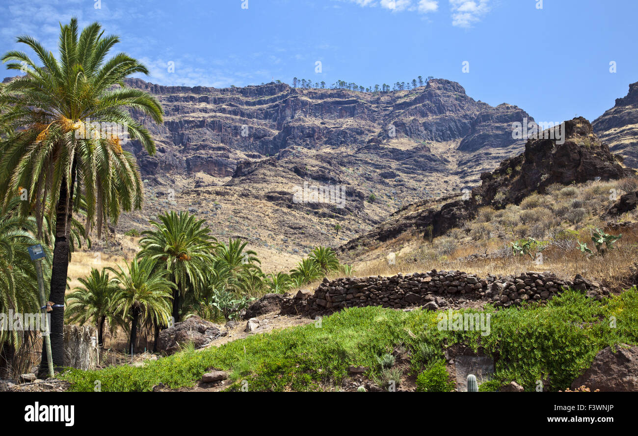 Mountains in Gran Canaria Stock Photo Alamy