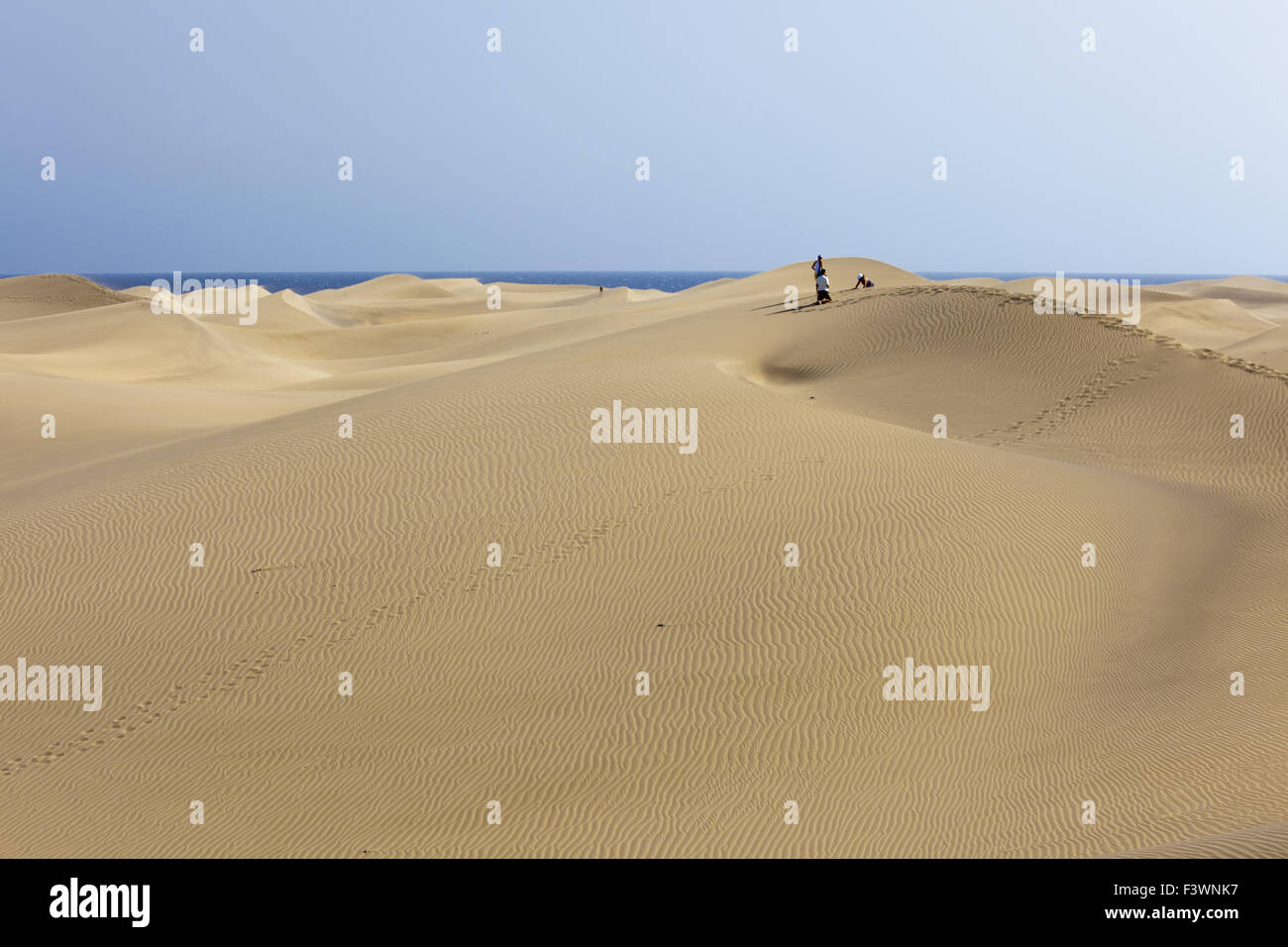 Dunes of Maspalomas Stock Photo