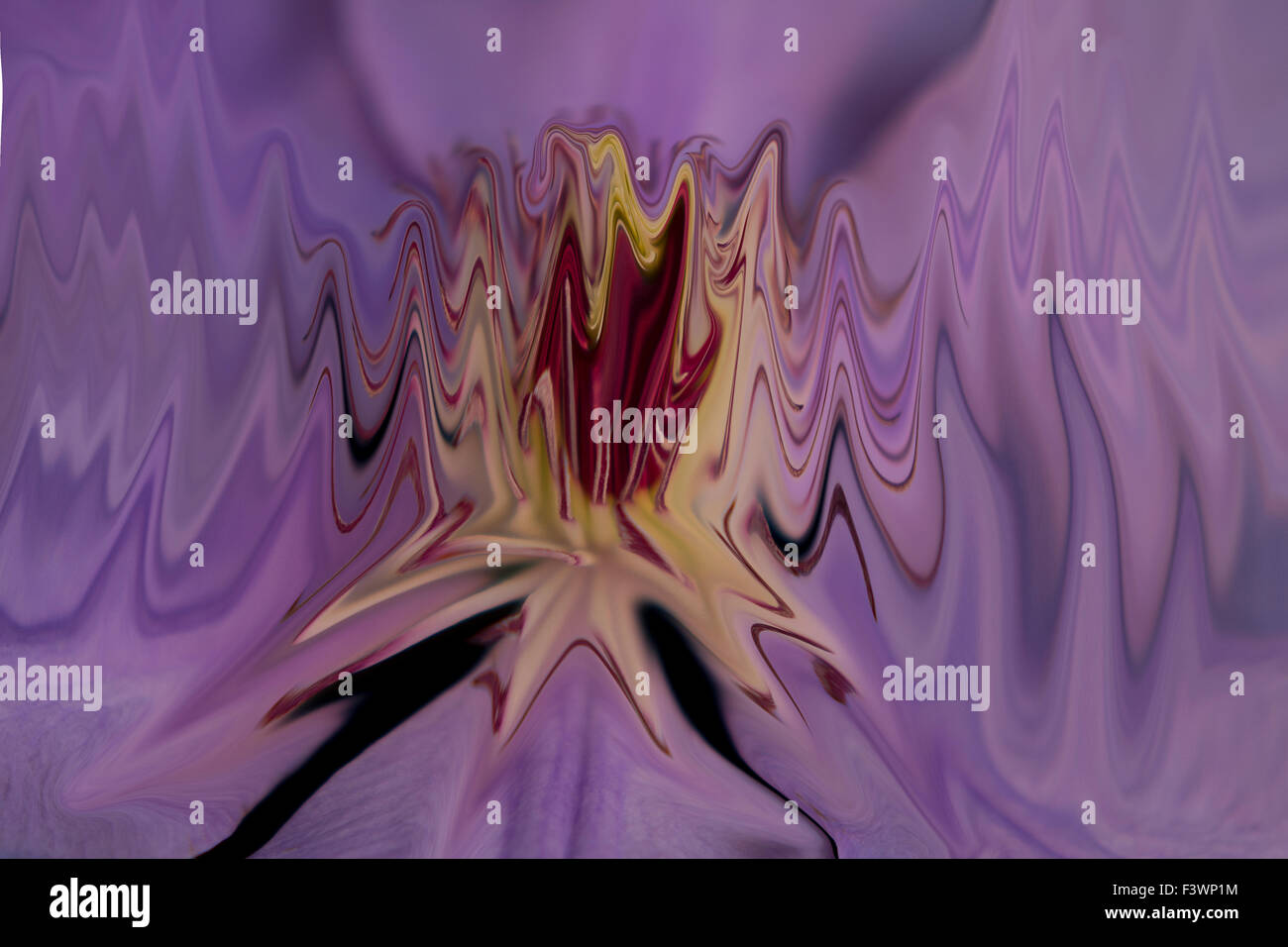 Abstract clematis image, manipulated digital photograph Stock Photo