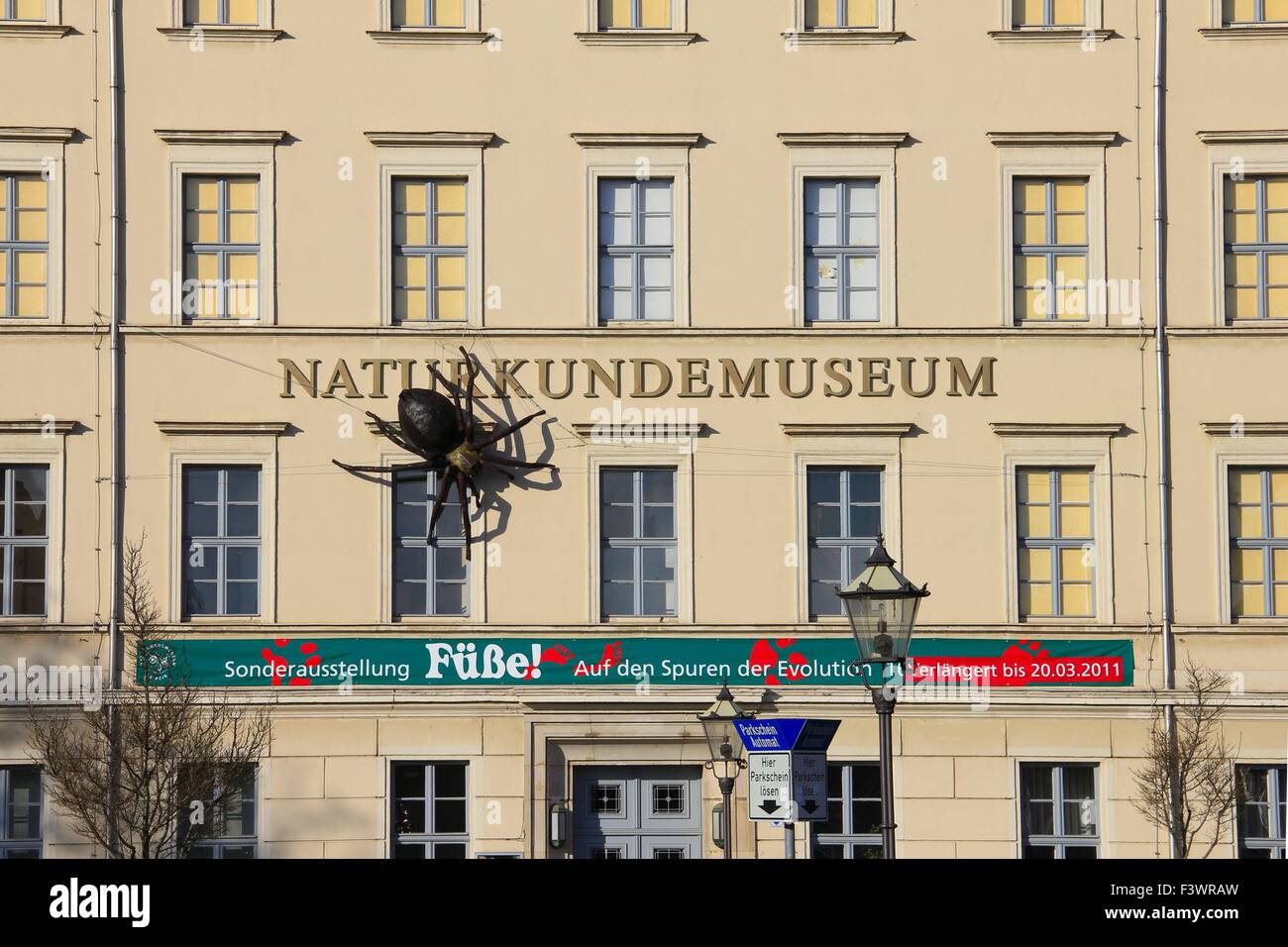natural history museum in leipzig Stock Photo