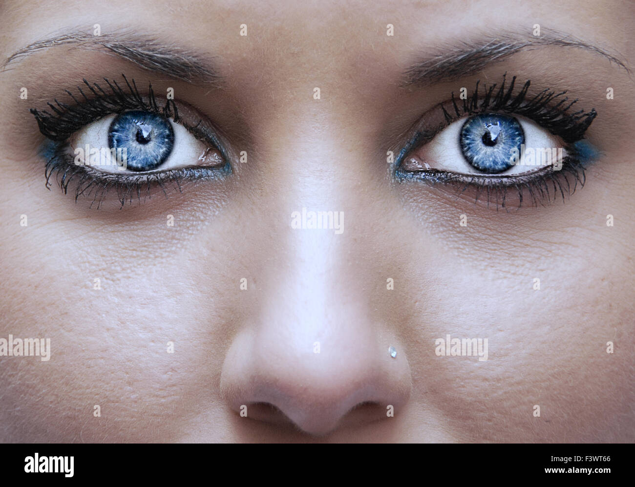 eyes like blue diamonds Stock Photo Alamy