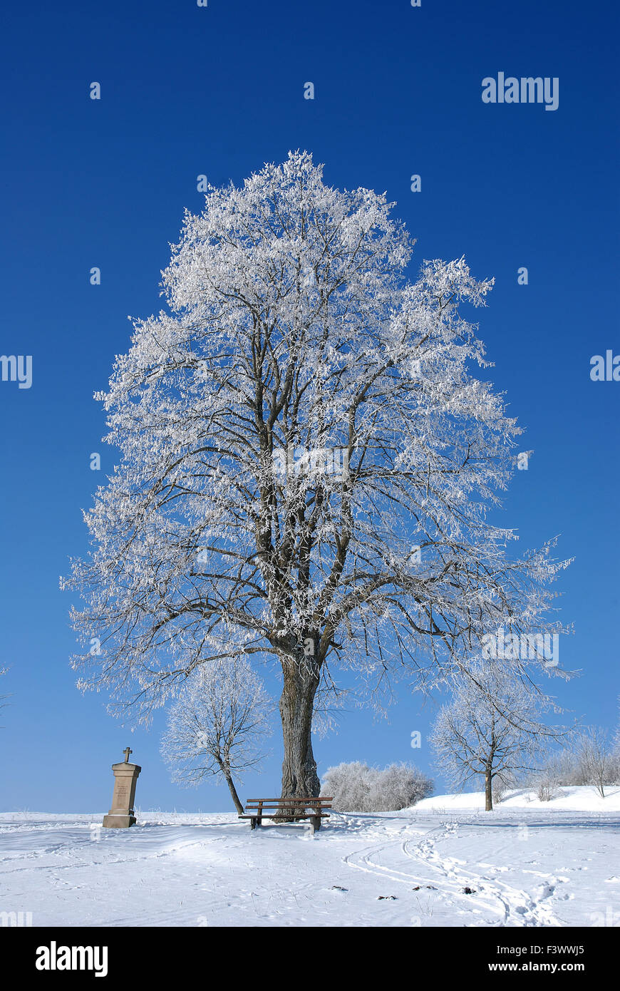 winter landscape at swabian alb Germany Stock Photo