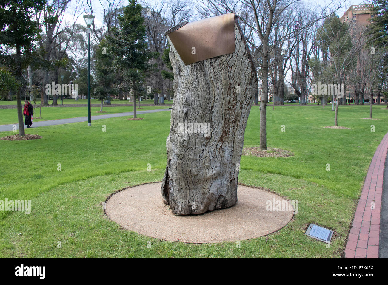 Scarred Tree in Fitzroy Gardens, Melbourne Stock Photo Alamy