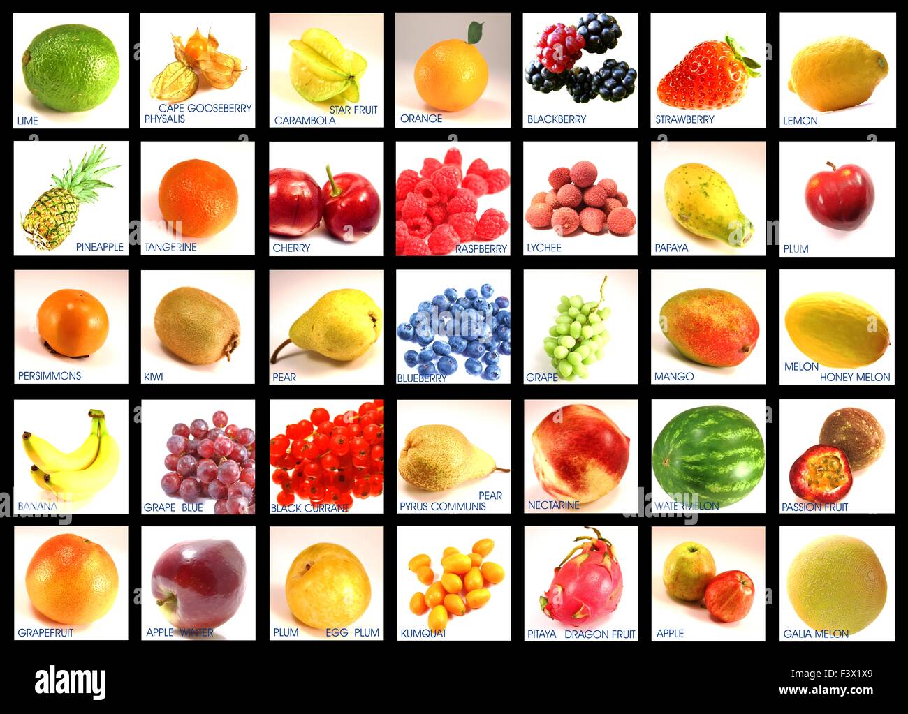 Fruit Varieties English Lettering Classified Stock Photo Alamy fruit-varieties-english-lettering-classified-stock-photo-alamy