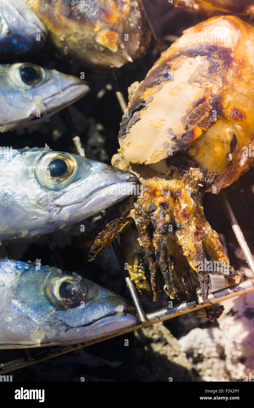 mackerels and squid on the grill Stock Photo