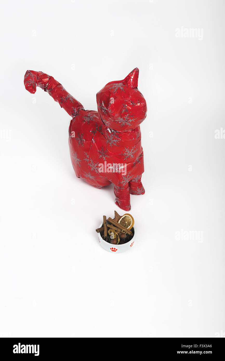 Cat dummy in Christmas paper Stock Photo Alamy