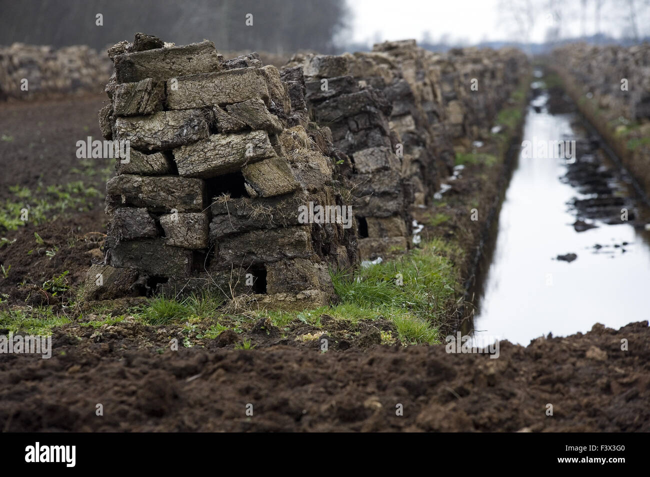 Peat harvest Stock Photo Alamy