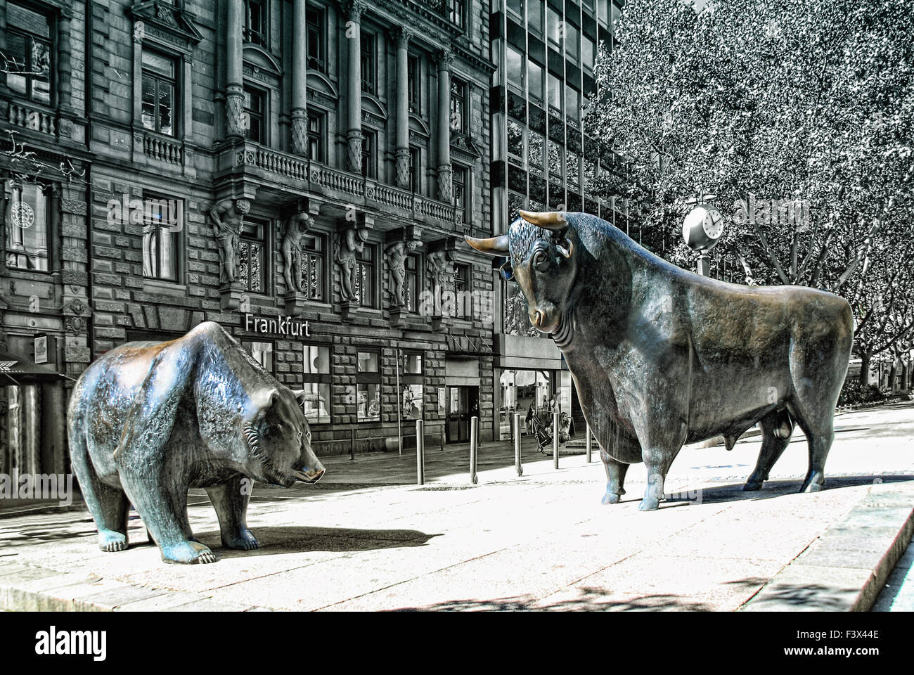 baer and bull Stock Photo