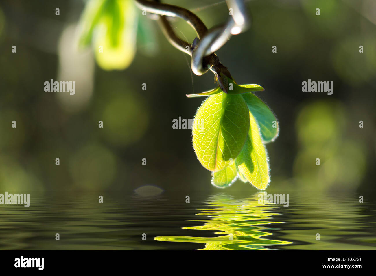 River Idylle Stock Photo
