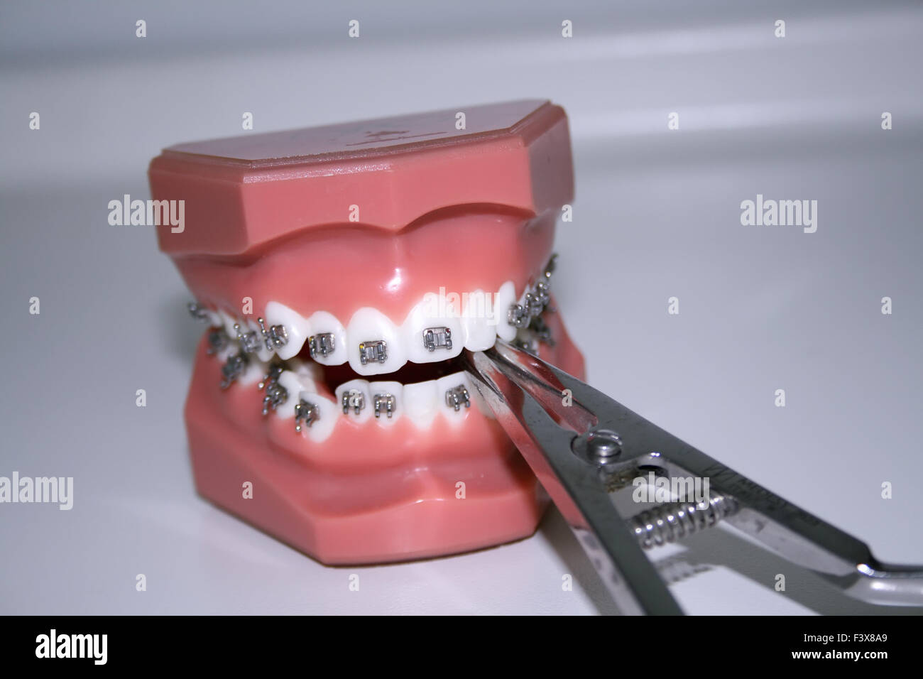 Toy teeth with braces hires stock photography and images Alamy