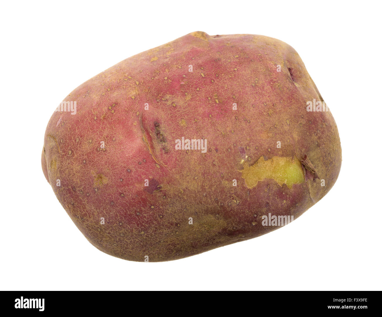 Top view of an organically grown red potato with a skin blemish isolated on a white background. Stock Photo