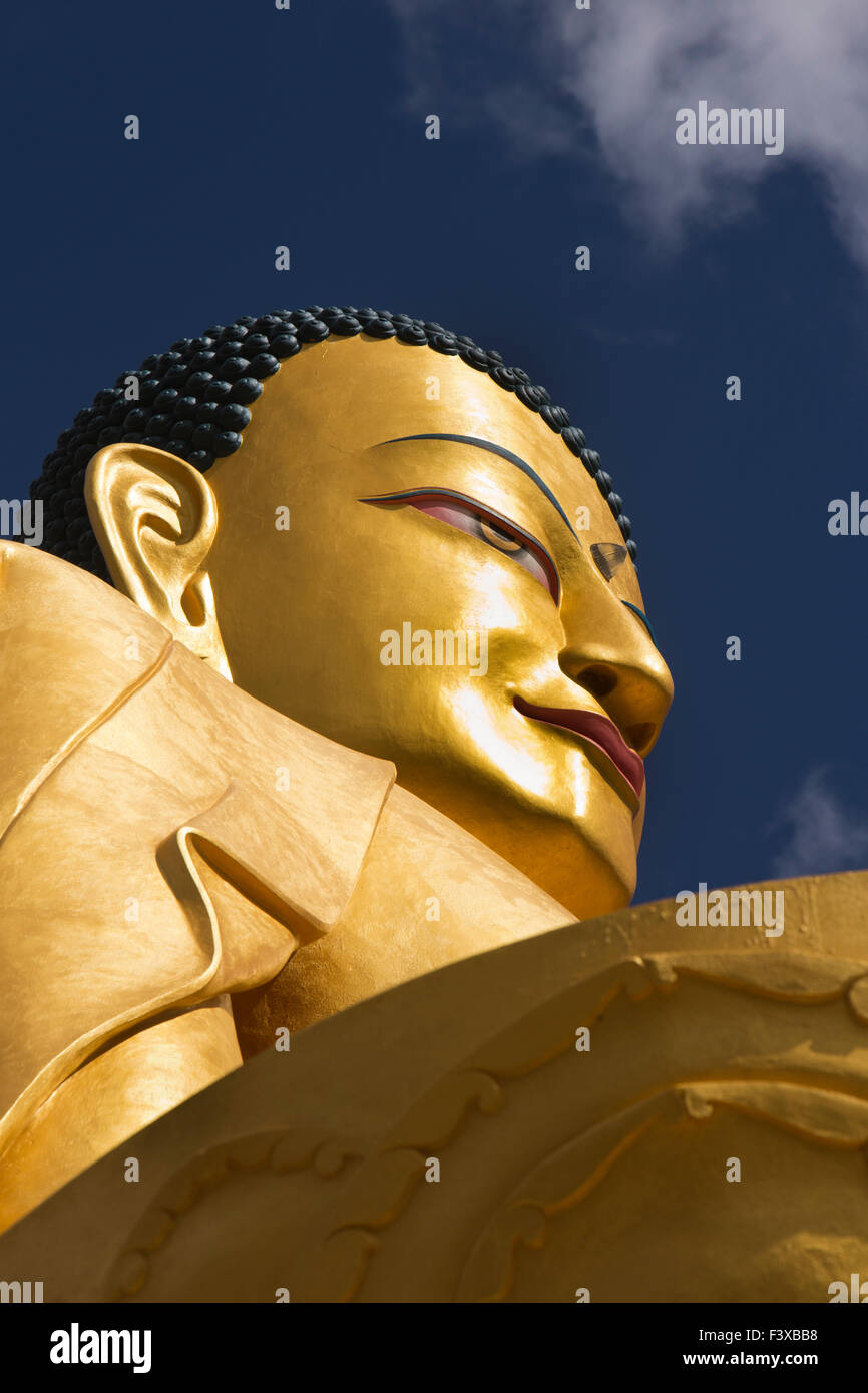 India, Jammu & Kashmir, Ladakh, Stok gompa, head of newly constructed large seated golden Buddha statue Stock Photo