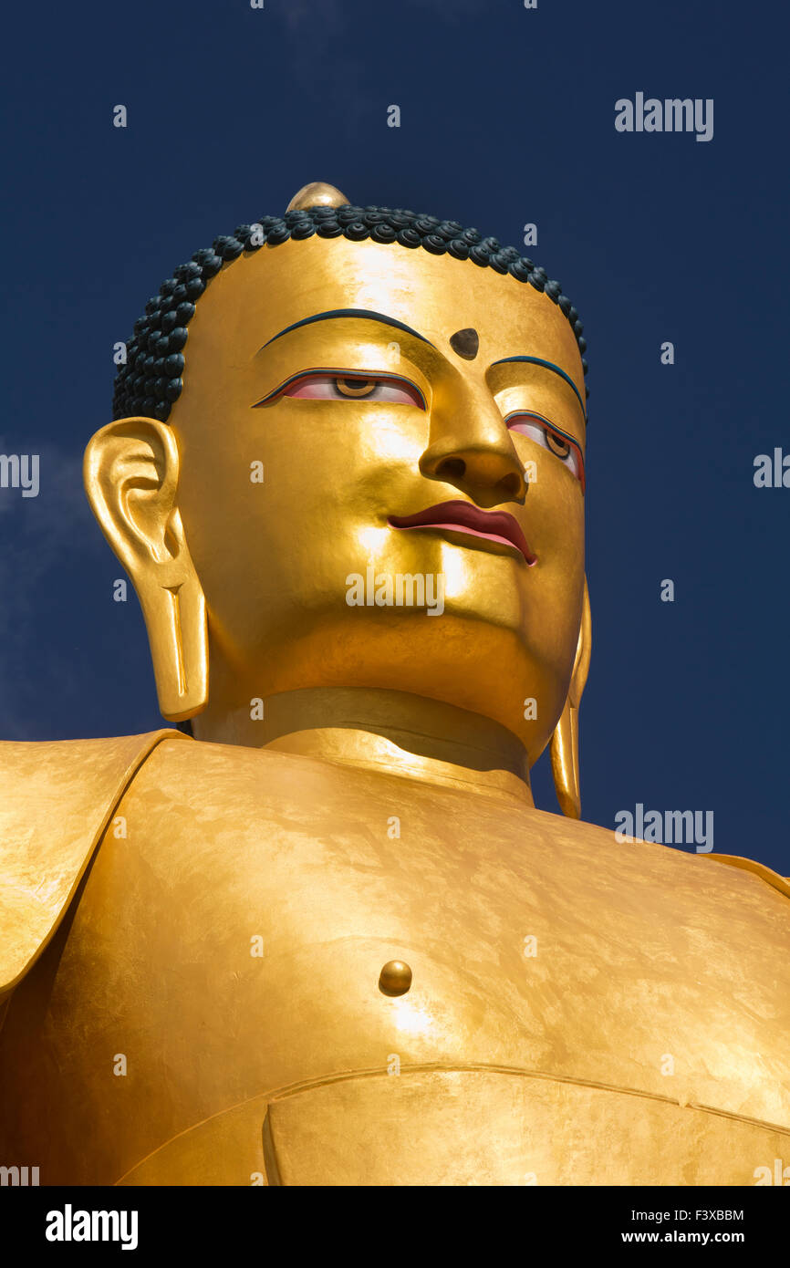 India, Jammu & Kashmir, Ladakh, Stok gompa, head of newly constructed large seated golden Buddha statue Stock Photo