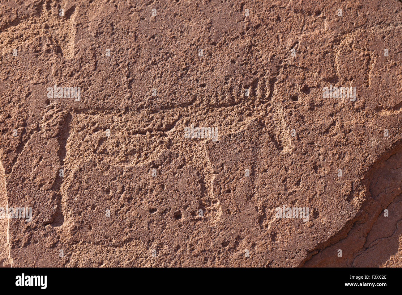 rock carving in twyfelfontein Stock Photo Alamy