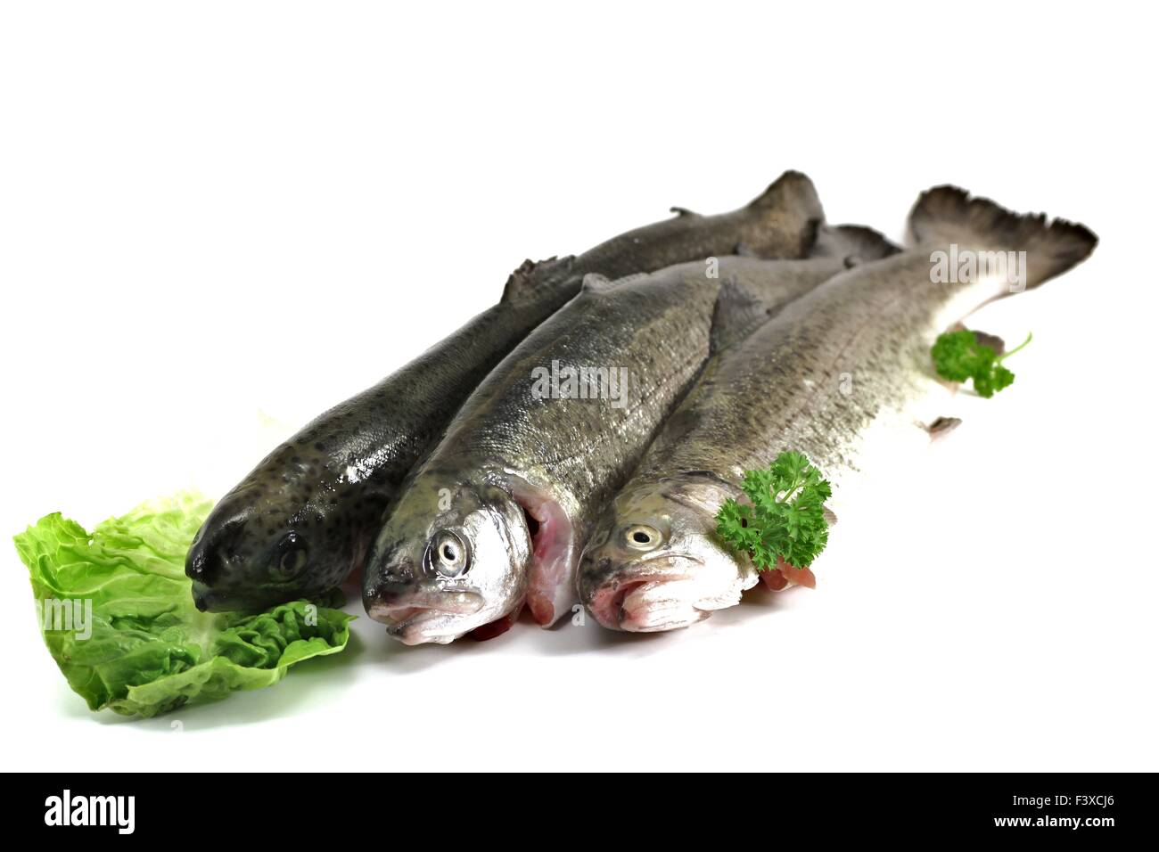 three trout on white background Stock Photo