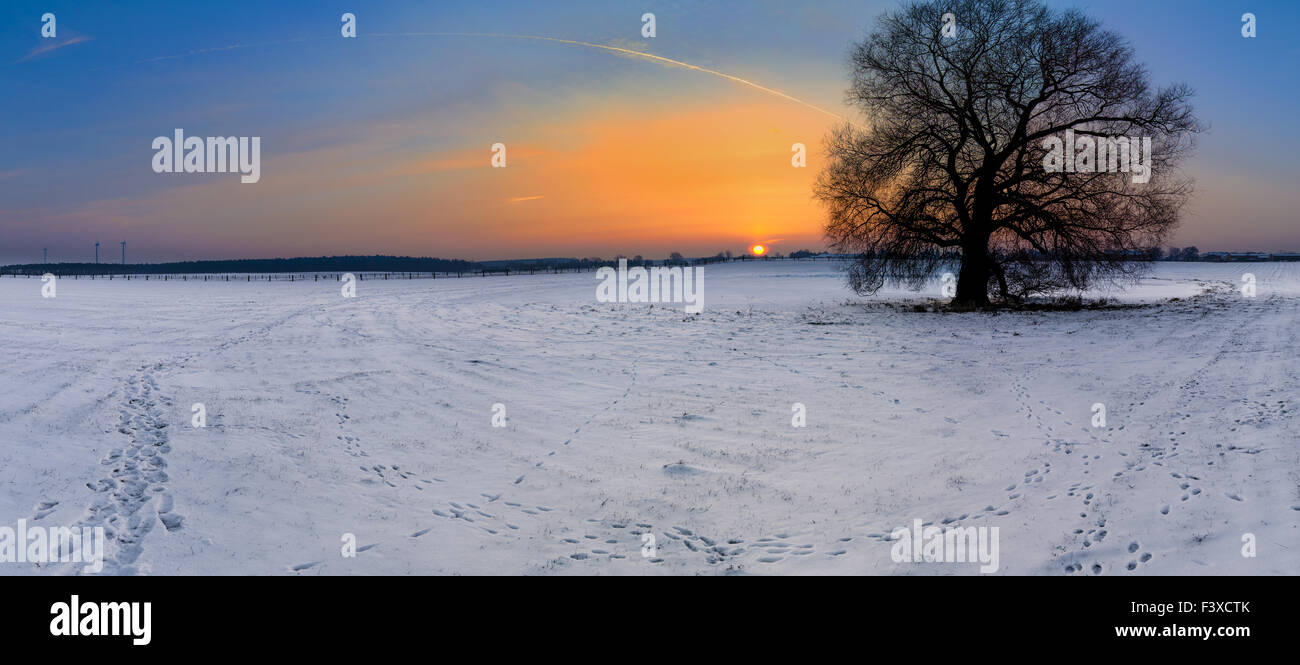 Sunrise over the field Stock Photo - Alamy