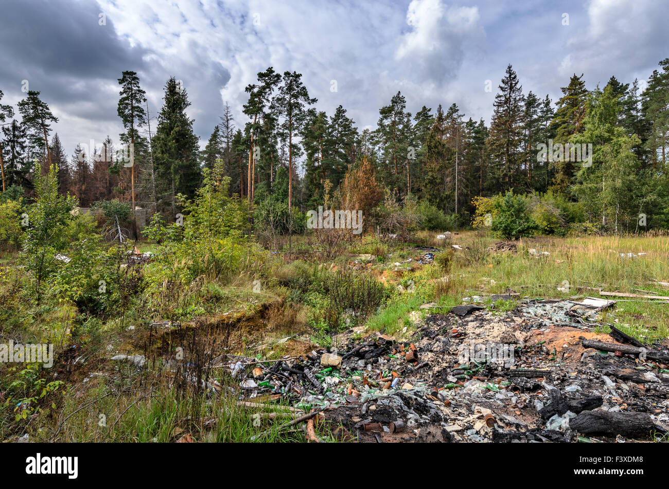 plastic bag with garbage hanging on tree in forest near the river.  pollution ecosystem problem , ecology environment trash Stock Photo - Alamy