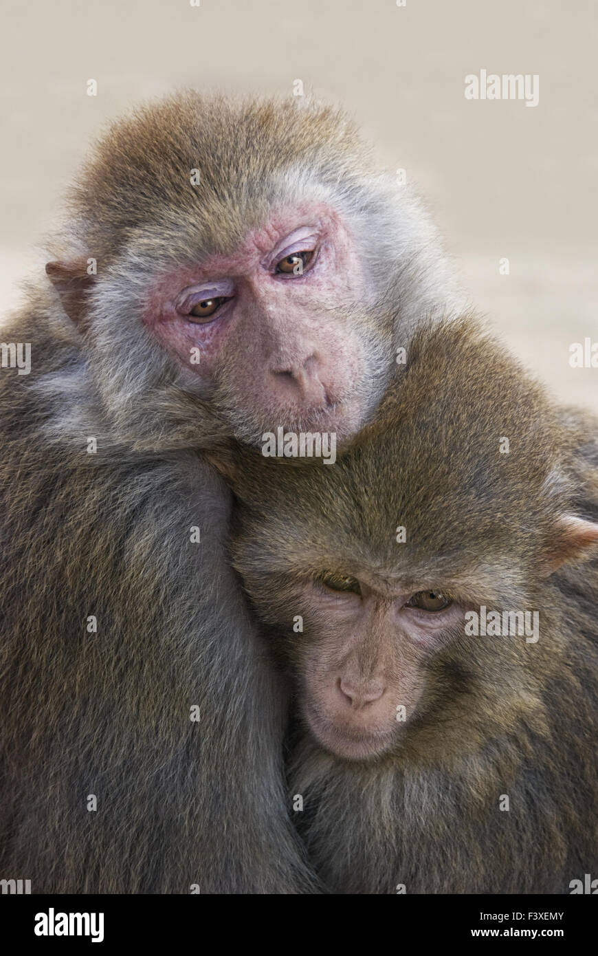 just hold me now Stock Photo
