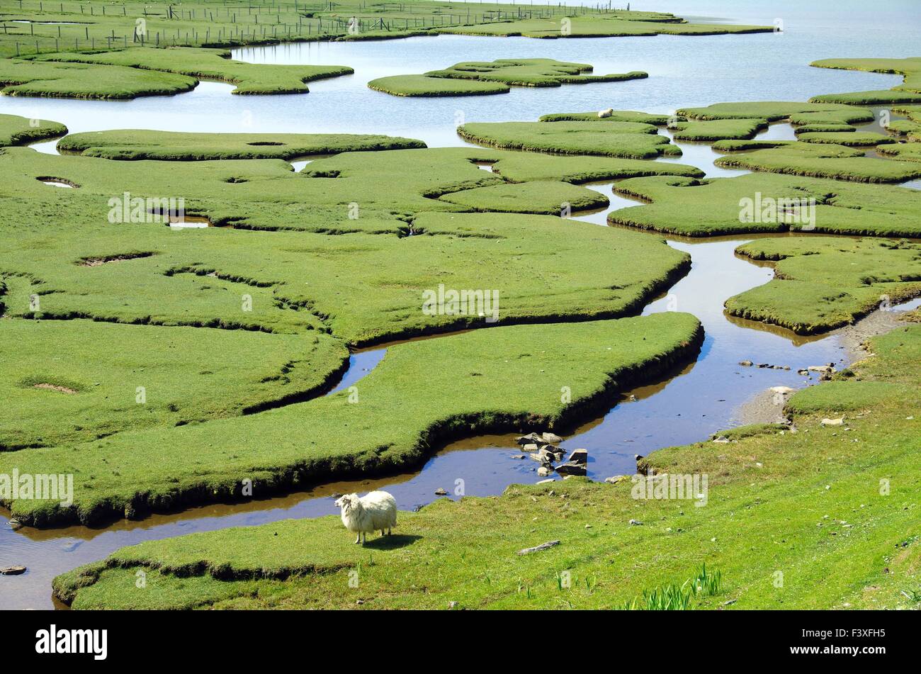 tidal landscape on the Isle of Harris Stock Photo