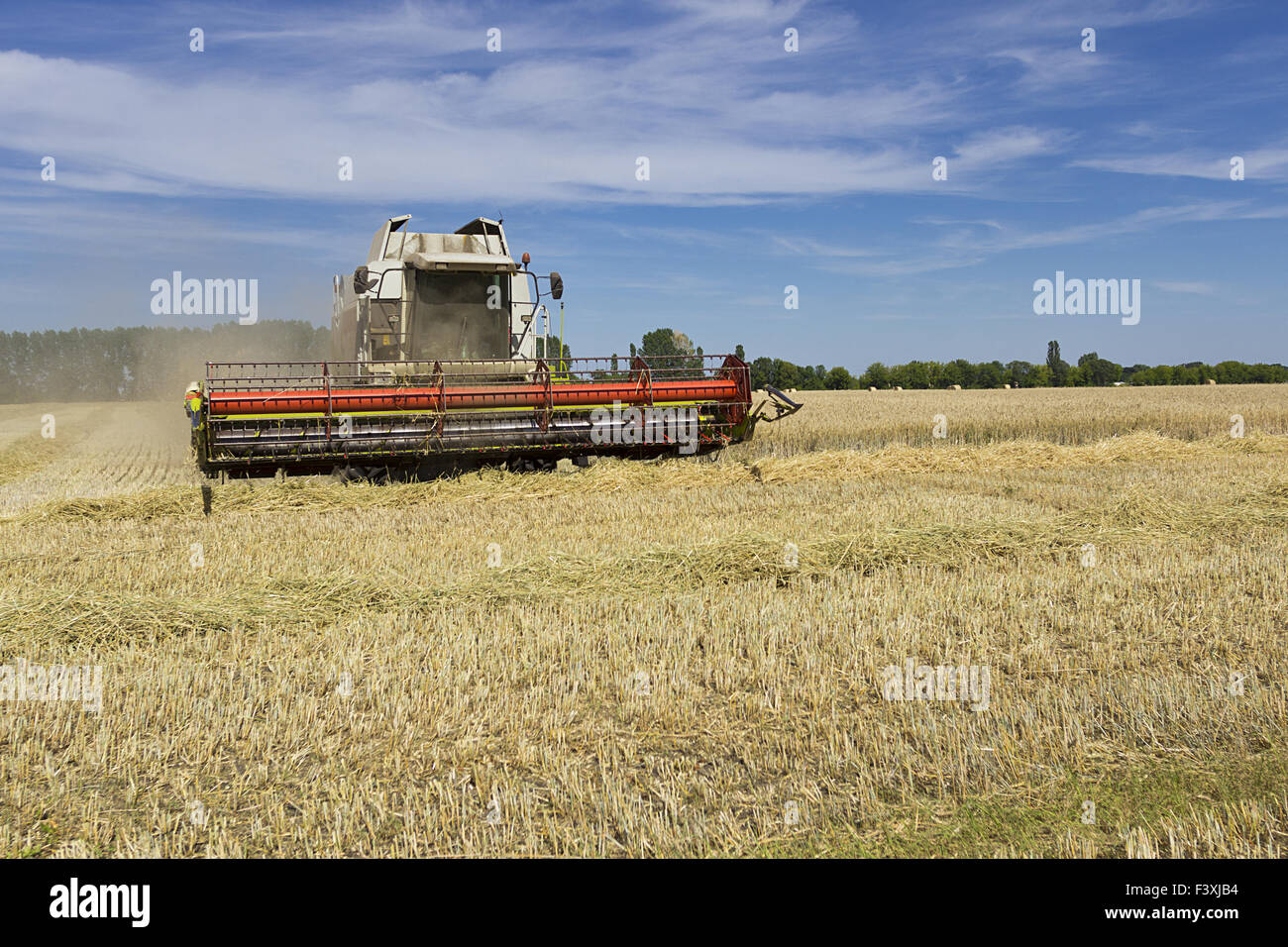 grain harvest Stock Photo