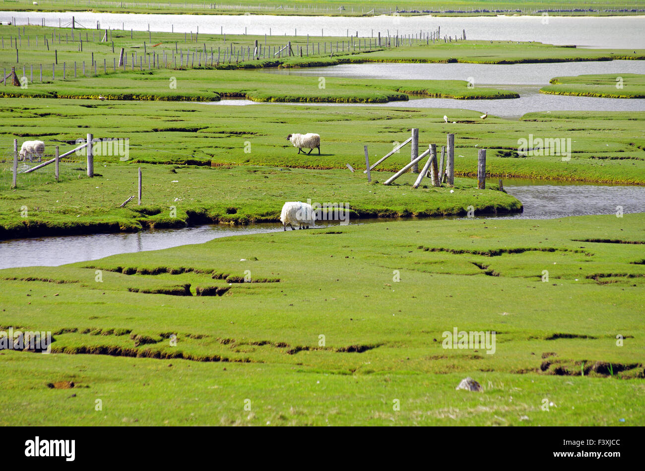 Tidal landscape on the outer Hebrides Stock Photo