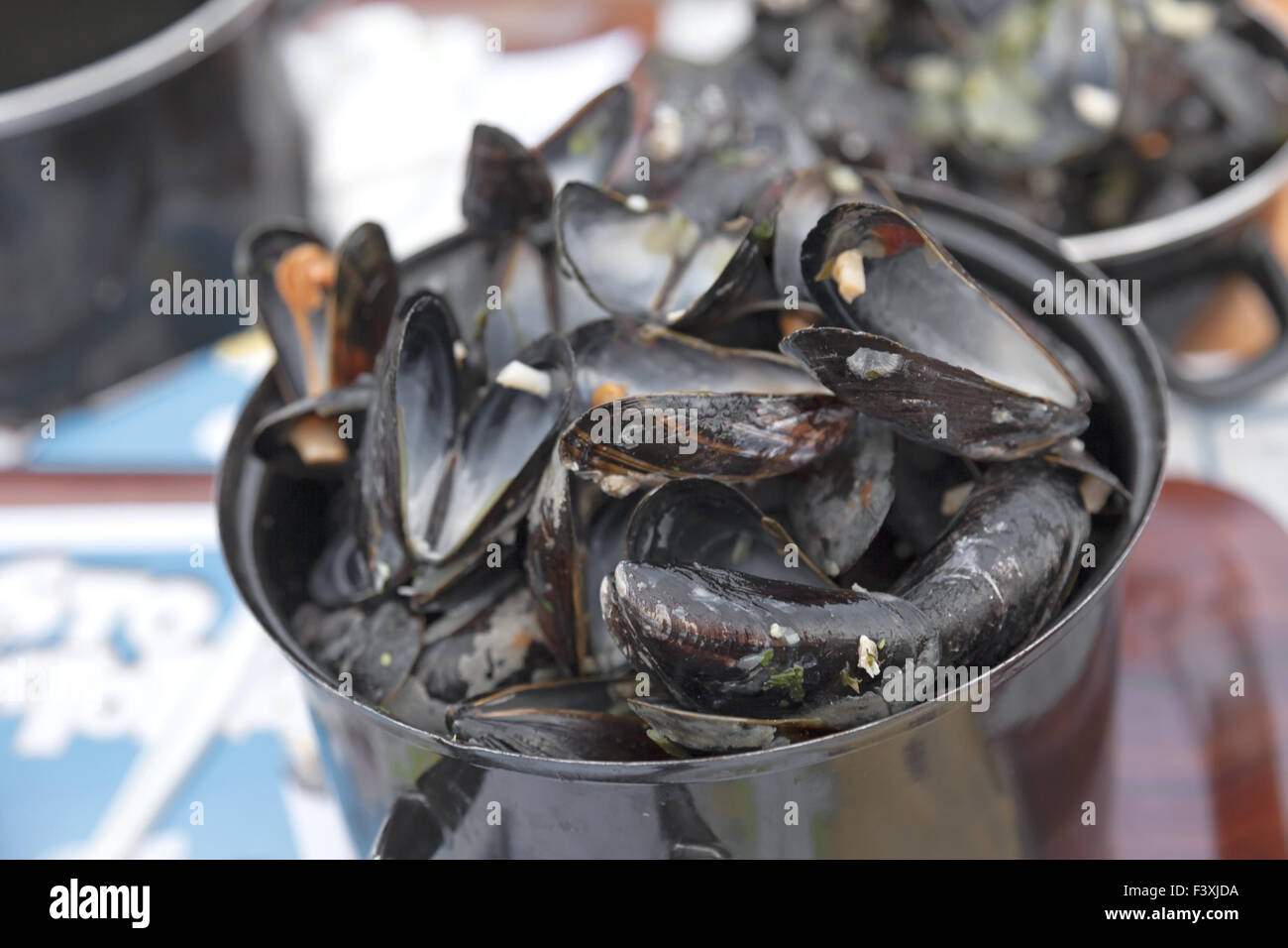 table tennis trainers