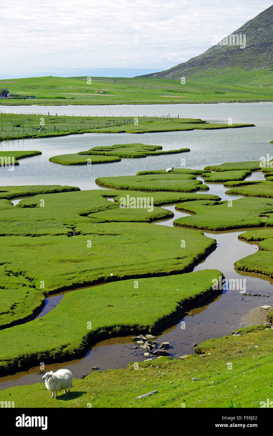 tidal landscape on the Isle of Harris Stock Photo
