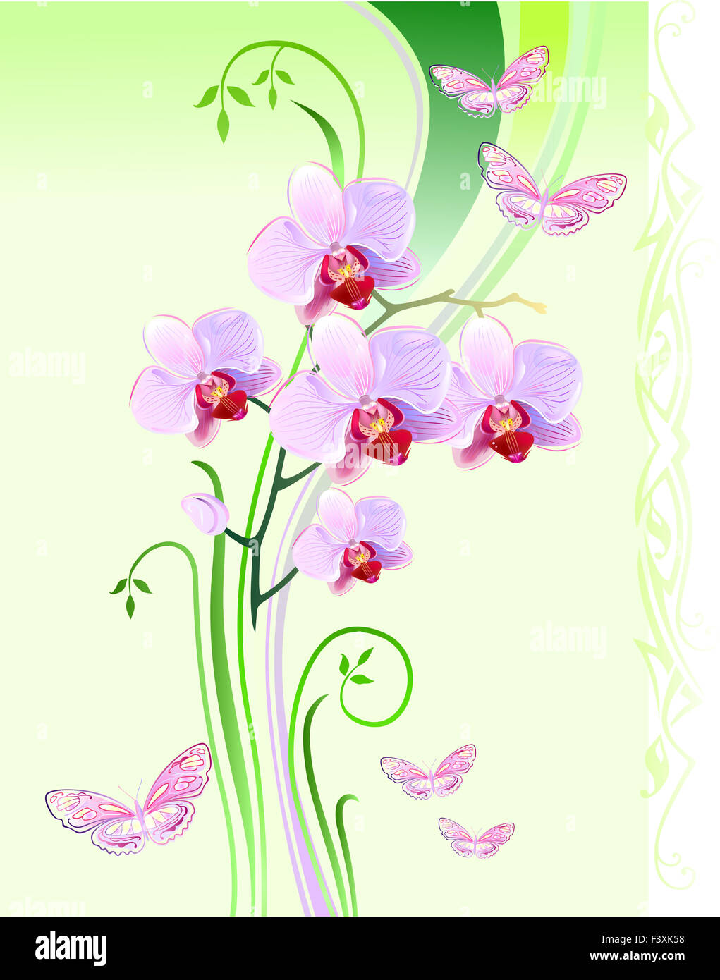 Orchids and butterflies on green background Stock Photo