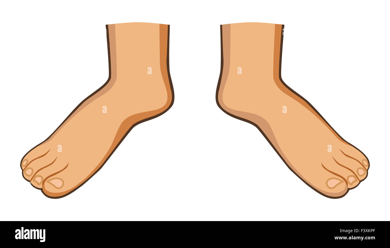 Two foots isolated on white background Stock Photo - Alamy
