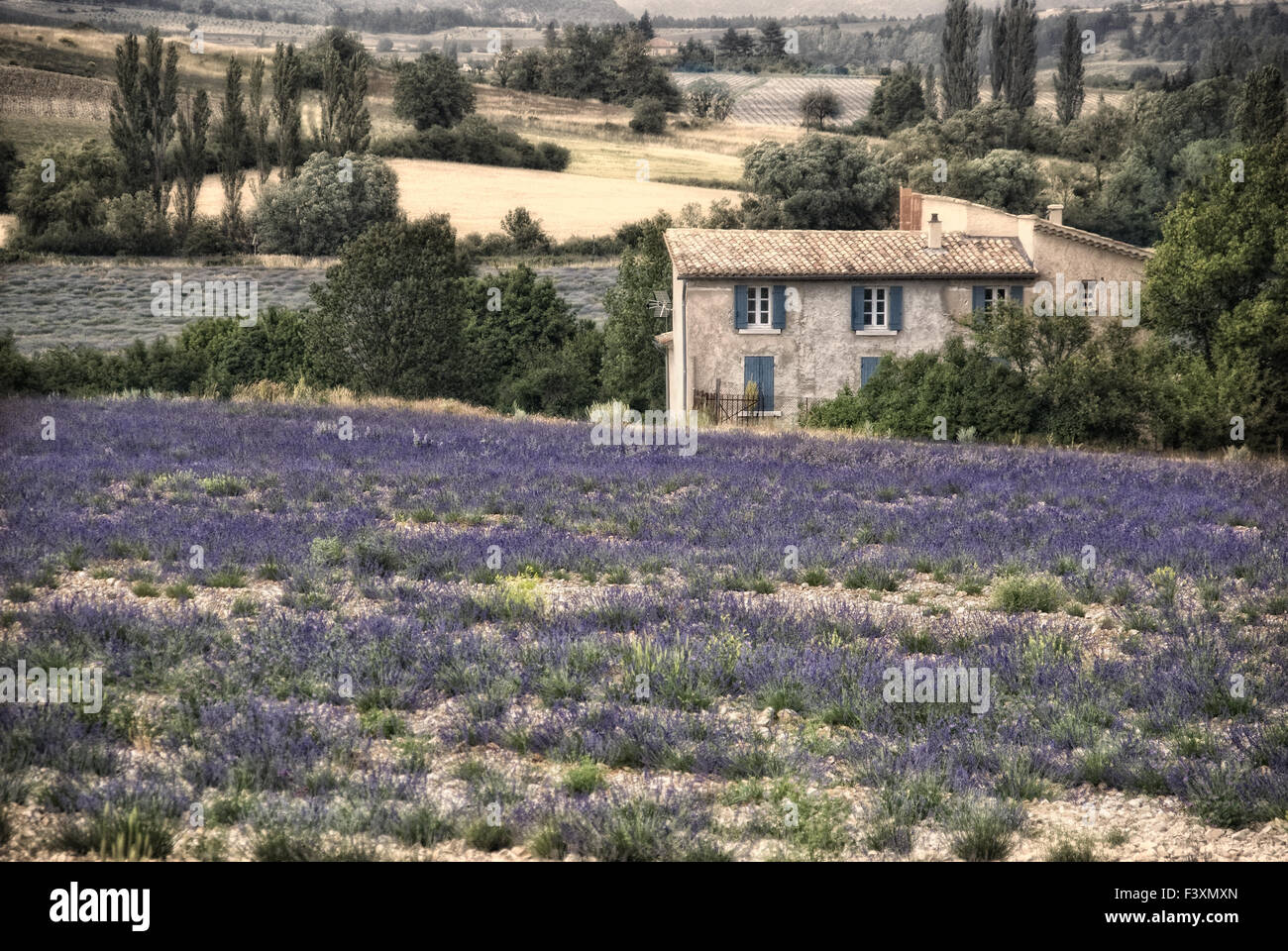 Provence landschaft hi-res stock photography and images - Alamy