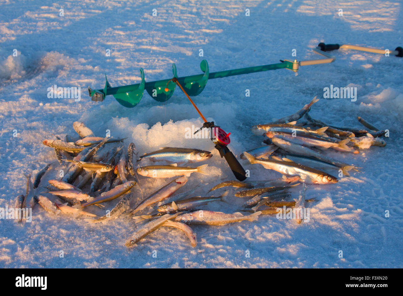 Smelt fishing hi-res stock photography and images - Alamy