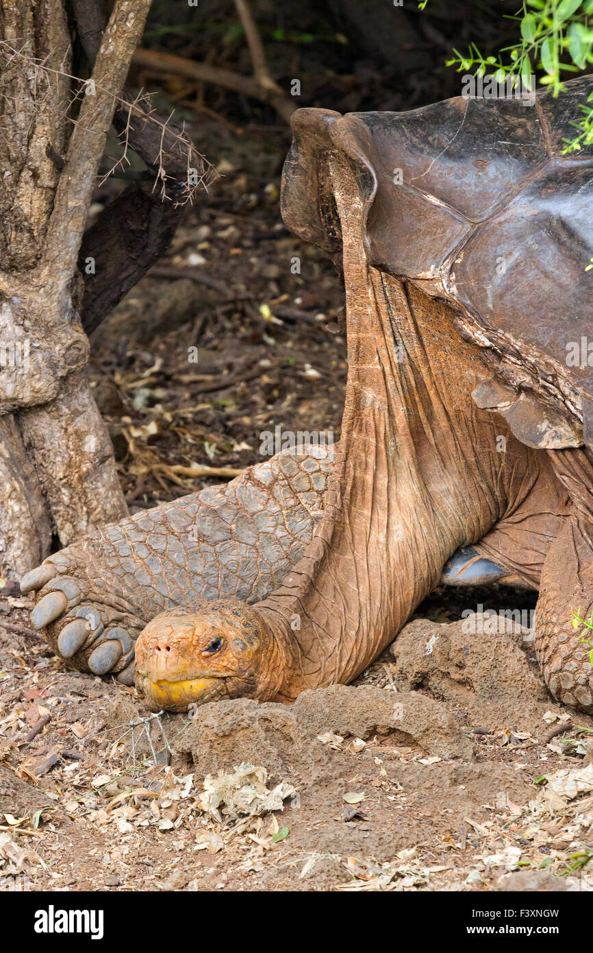 Rasmiy litsenziyalangan porno sayt Porno hd onlayn