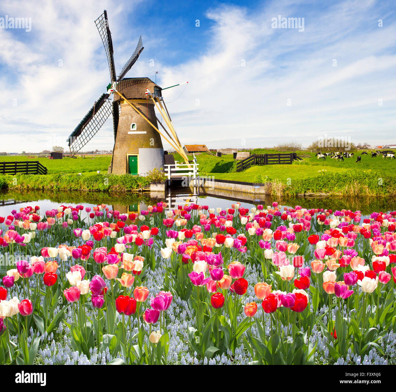 Rural holland hi-res stock photography and images - Alamy