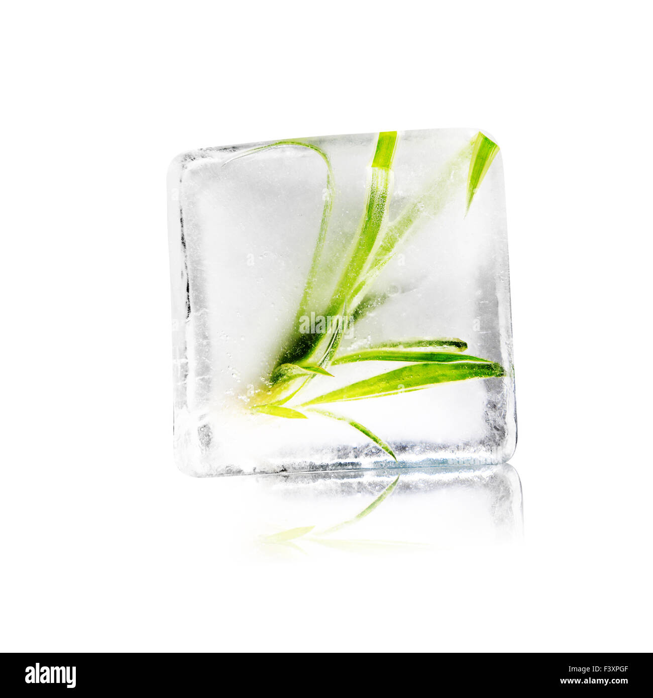 leaves of a plant in ice cube Stock Photo