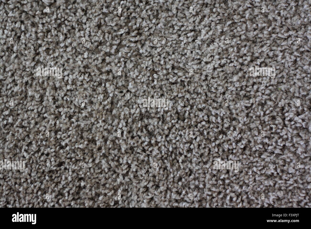 gray carpeting in close-up as background Stock Photo
