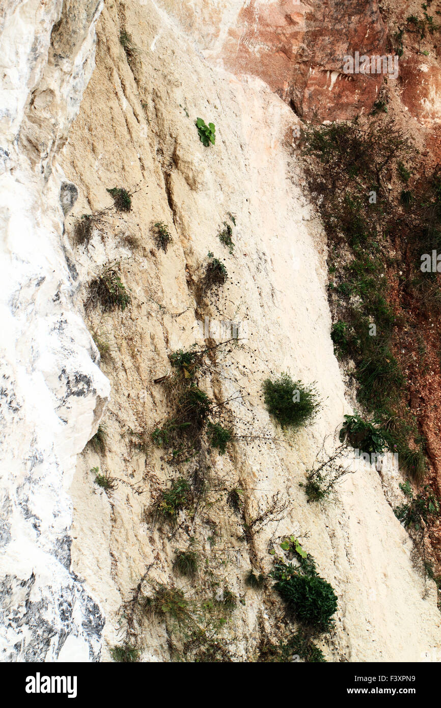 Limestone rock face close up Stock Photo Alamy