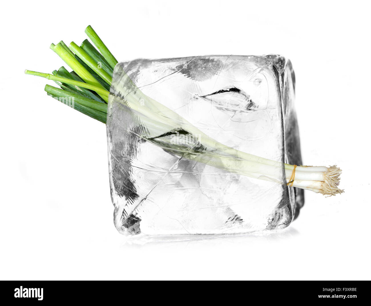 leek, allium in a ice cube isolated Stock Photo