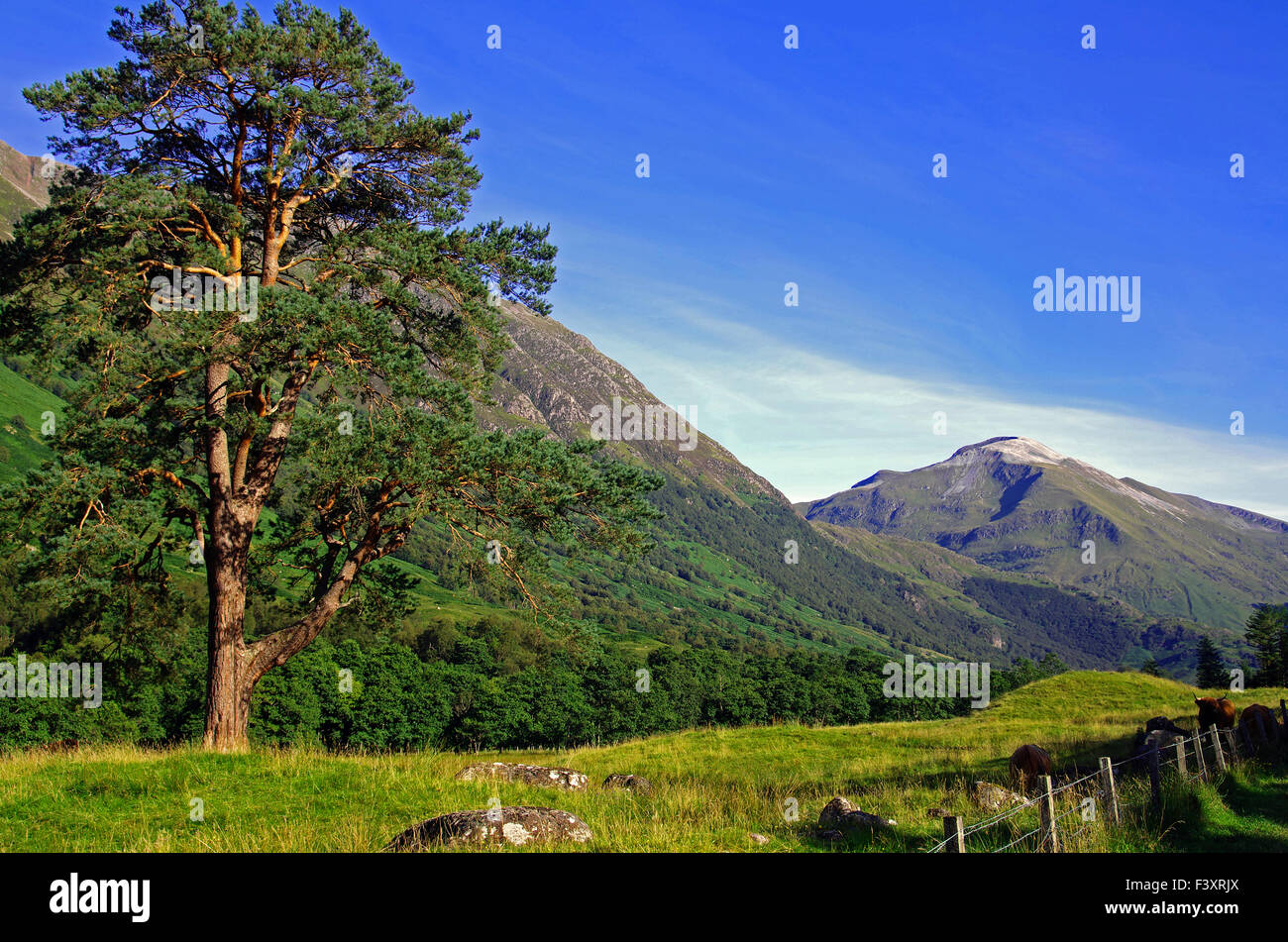 Glen Nevis Stock Photo