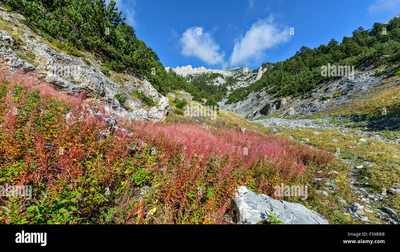 Mountain valley landscape Stock Photo