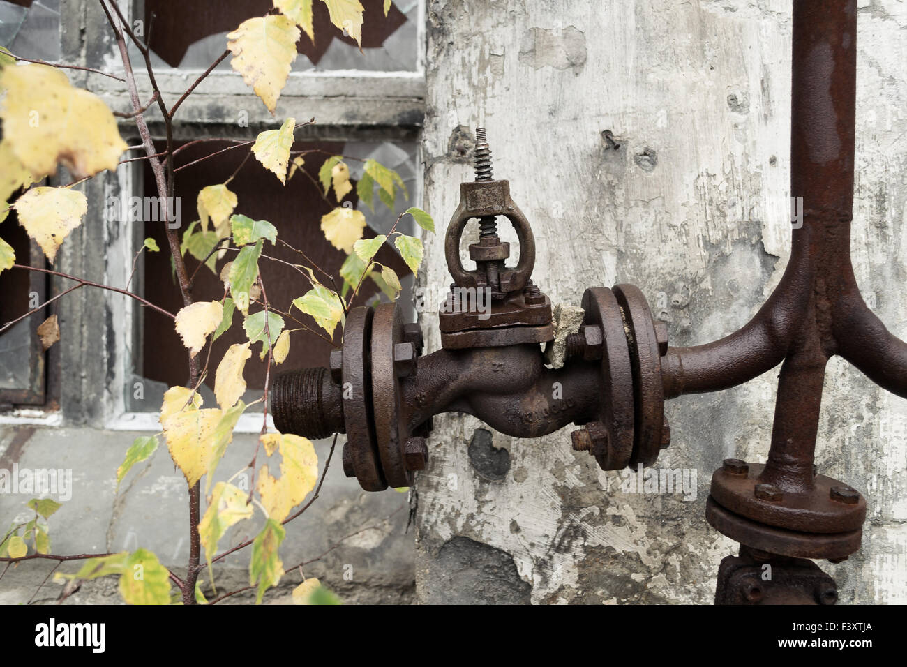 Water supply connection Stock Photo Alamy