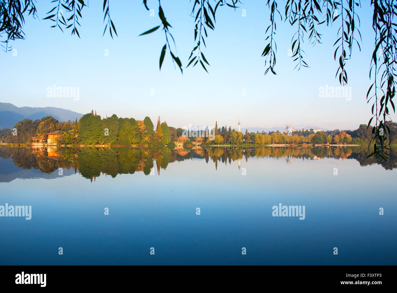 The reflection of forest Stock Photo - Alamy