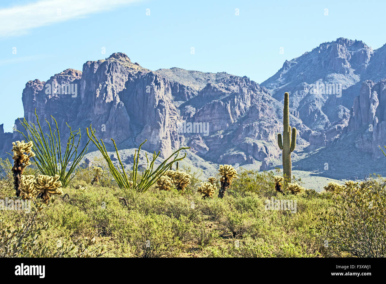 Phoenix Apache Trail Stock Photo