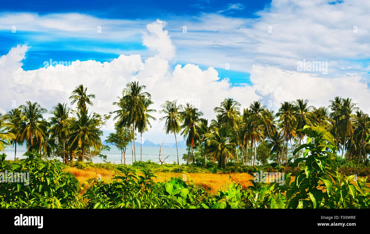 Blue rock coast tropical hi-res stock photography and images - Alamy