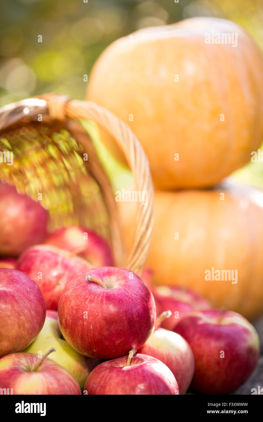 Fruits and vegetables in autumn Stock Photo Alamy