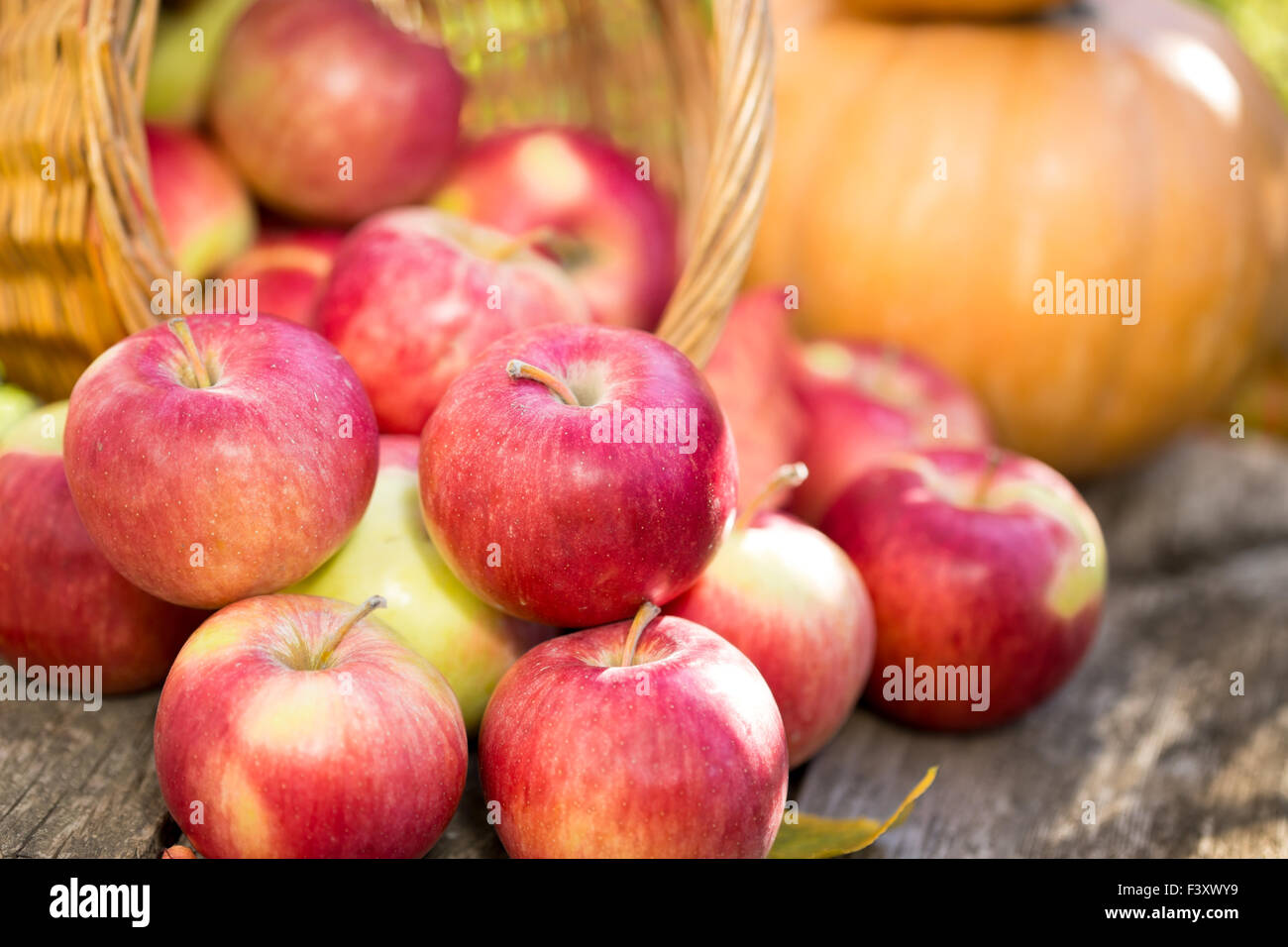 Fruits and vegetables in autumn Stock Photo - Alamy