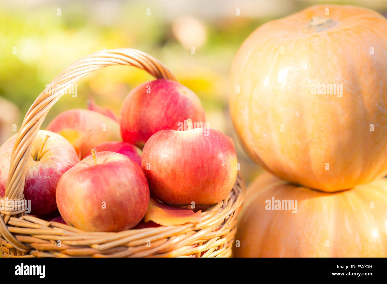 Fruits and vegetables in autumn Stock Photo - Alamy