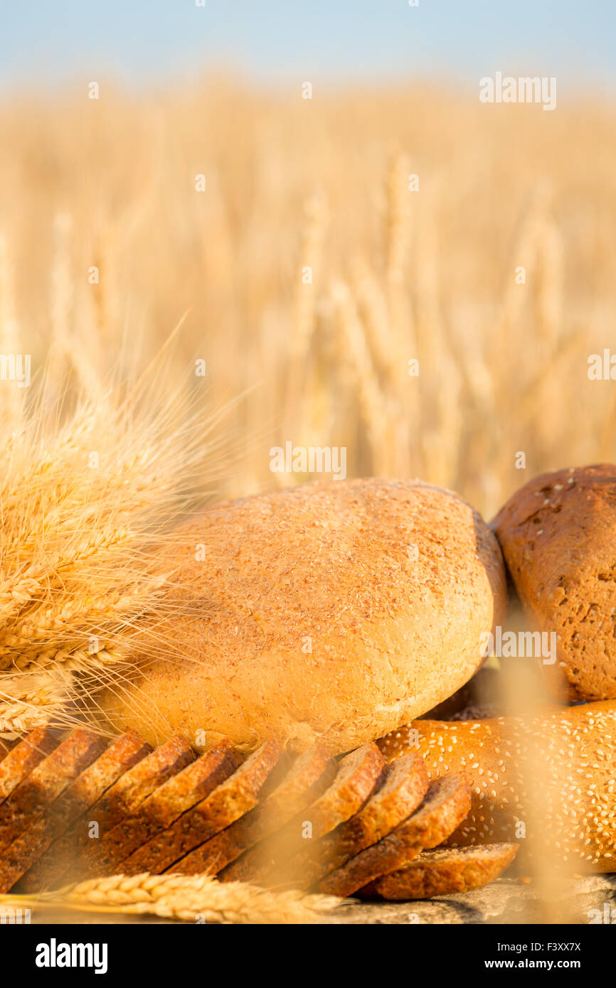 Хлеб пока он в поле 4 буквы. Каравай пшеница. Красивые хлебобулочные изделия. Сеять в старину. Хлеб в поле.