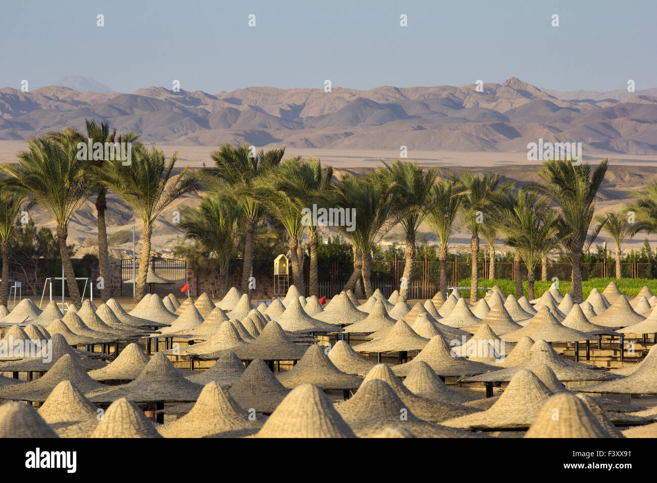 desert in egypt in marsa alam Stock Photo